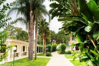 Oasis Resort [/GEST/immagini]  