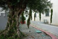 Corsica Les Brises de Mer Residence [/GEST/immagini]  