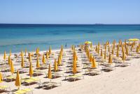 Free Beach Club [/GEST/immagini]  