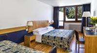 Hotel Regina e Fassa [/GEST/immagini]  