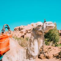 Tour Le Porte del deserto [/GEST/immagini]  