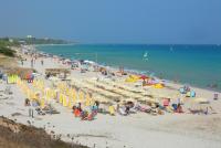 Hotel Rocca Dorada [/GEST/immagini]  
